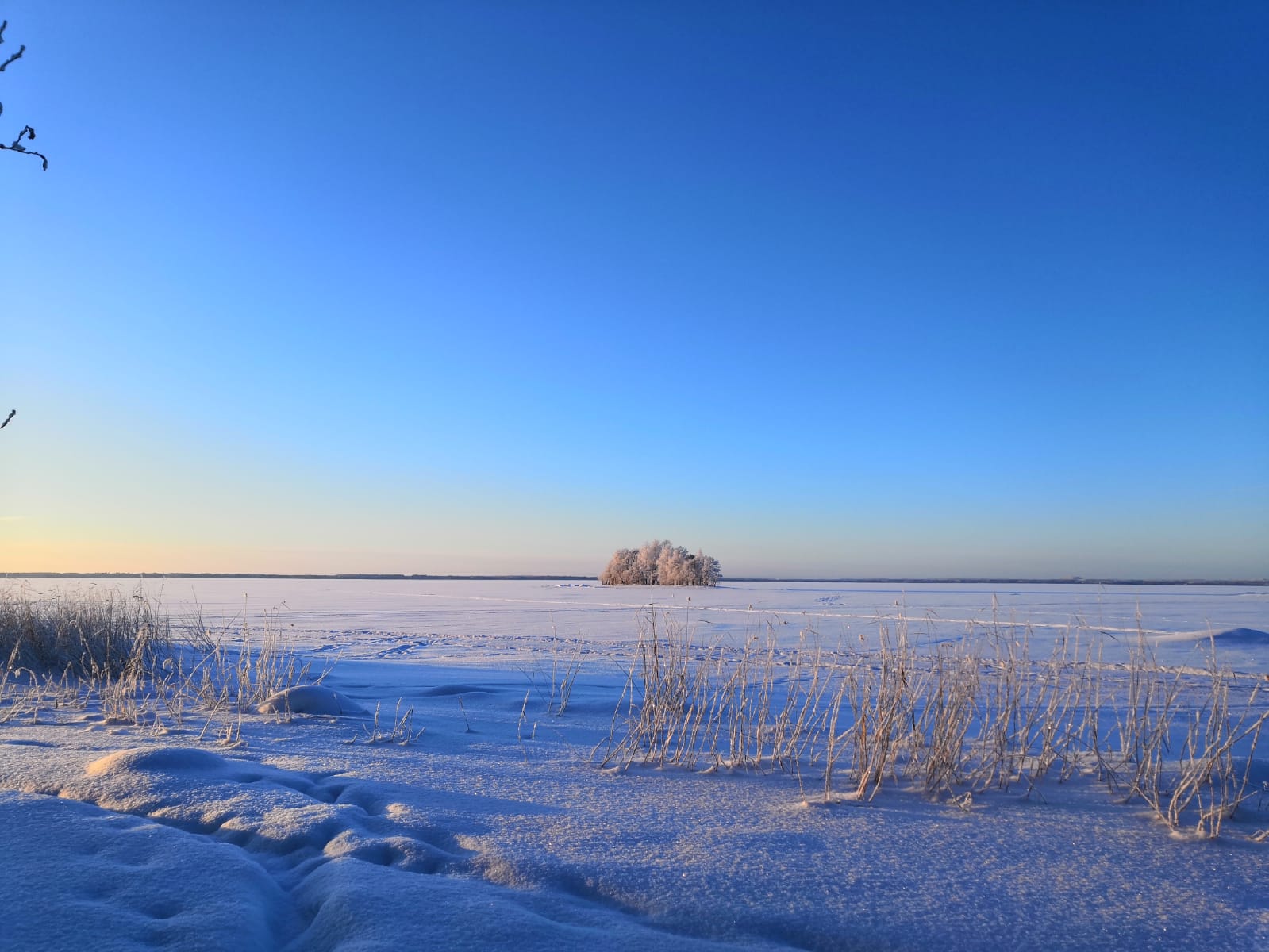 I momenti blu in Finlandia d'inverno, quando la neve rispecchia il cielo azzurro